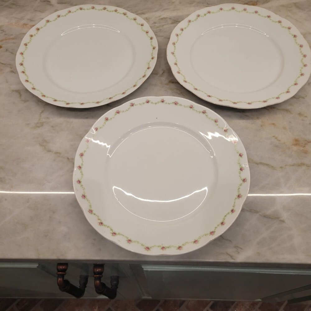 3 Vintage Porcelain Dinner Plates by Victoria Austria